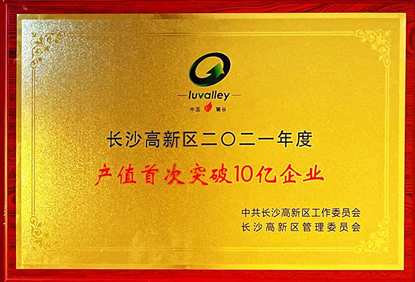 長沙高新區二〇二一年度產值首次突破10億企業